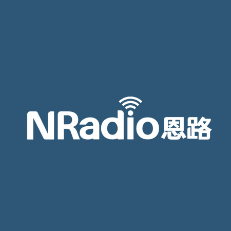 鉴于N-RADIO在行业与国际品牌D-LINK与国内知名的TP-LINK在命名格式上过于相近似，与行业的领先品牌区别性不大，加上N-RADIO在产品的创新性具有较强的竞争力，故我们在格式上的定义建议去掉横杆用现代简洁表现手法来体现我们的品牌形象的专属个性 。 